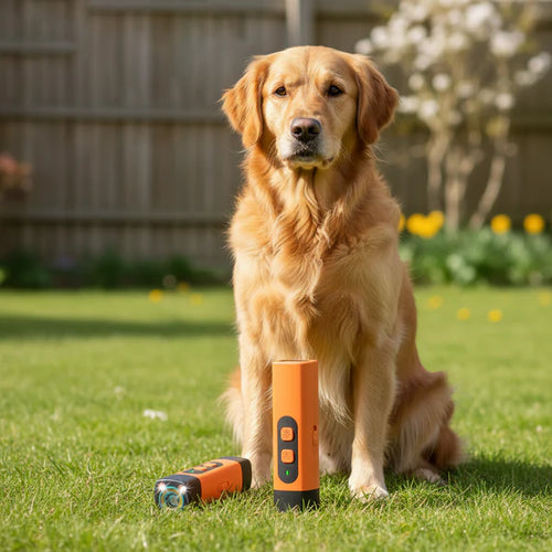 Dog Training Device
