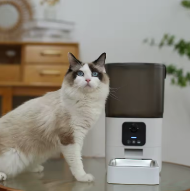 Pet Automatic Feeder